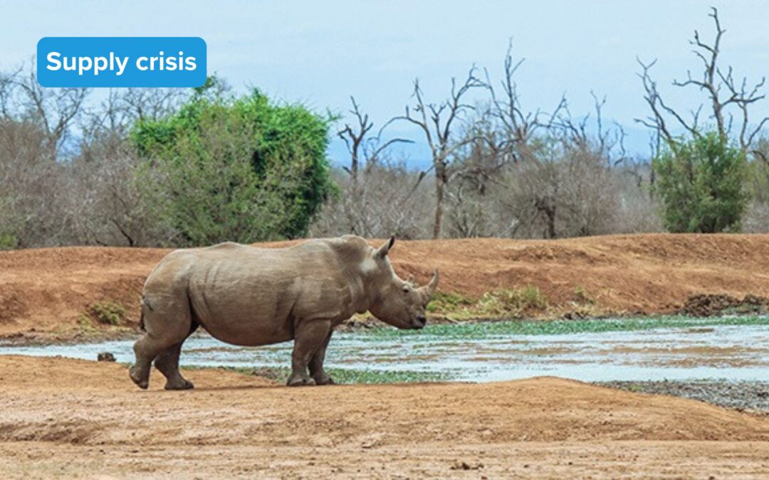 SAHPRA Stops Vital Drug for Wildlife Care