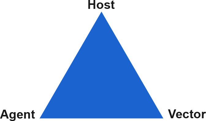 Triangle