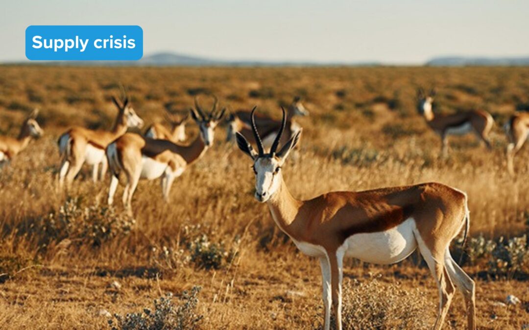 V-Tech’s dispute with SAHPRA continues: Yohimbine and Trilostane