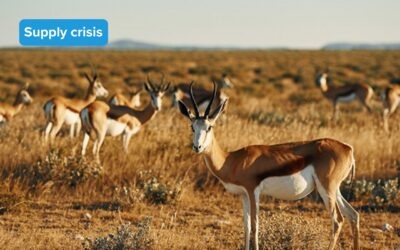 V-Tech’s dispute with SAHPRA continues: Yohimbine and Trilostane