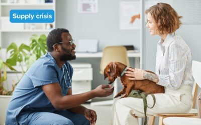 Victory for Pets – Minister Steps In to End Cushing’s Crisis