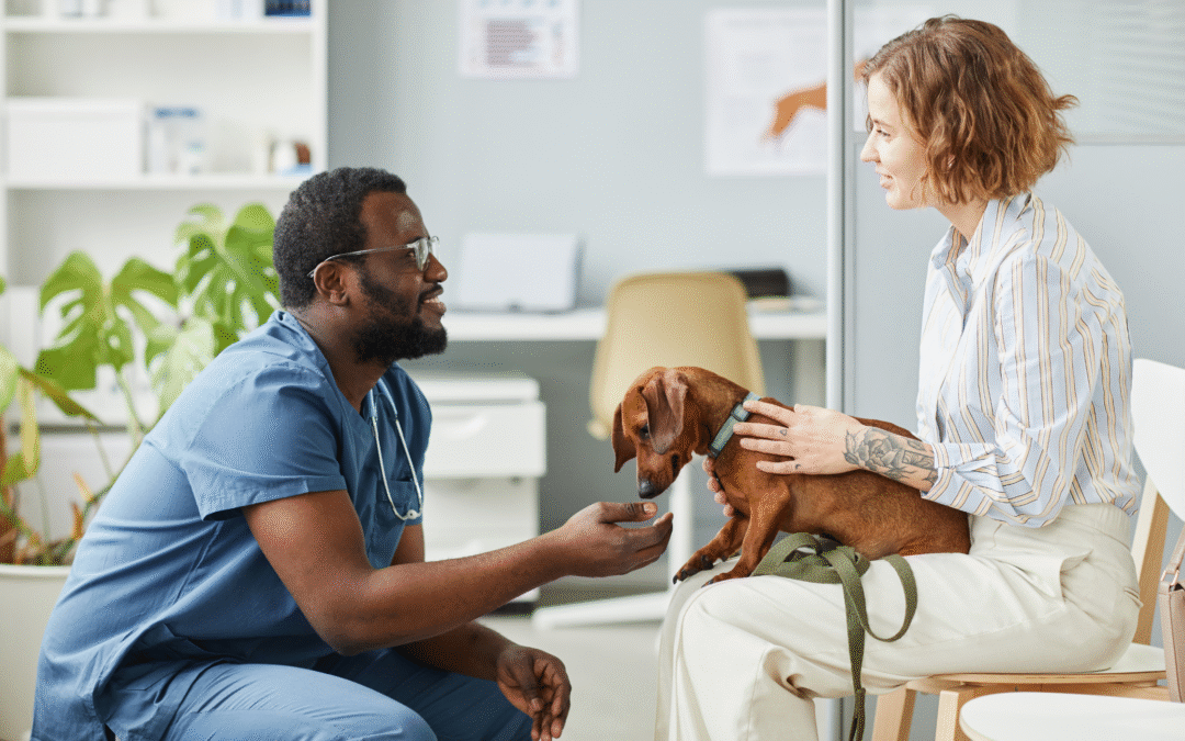 Victory for Pets – Minister Steps In to End Cushing’s Crisis