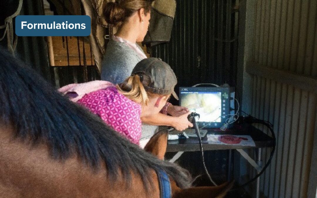 Long-acting solution for gastric ulceration in equines evaluated