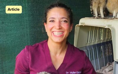 Pain Management in the Wild Avian Trauma Patient