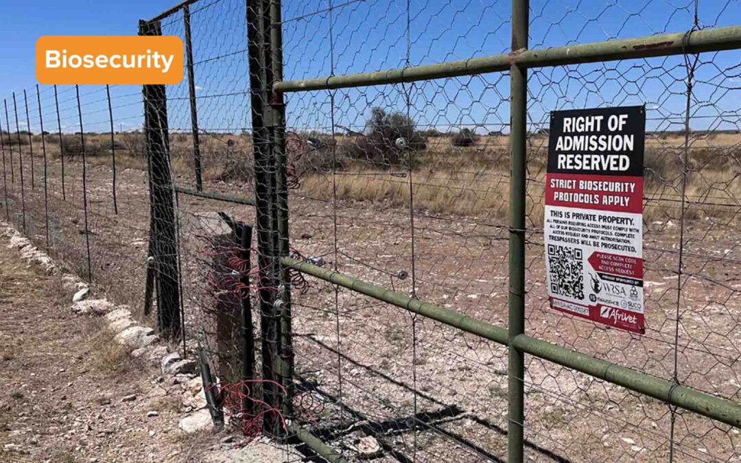 Part 2: Biosecurity and disease management for wildlife