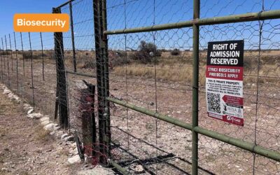 Part 2: Biosecurity and disease management for wildlife