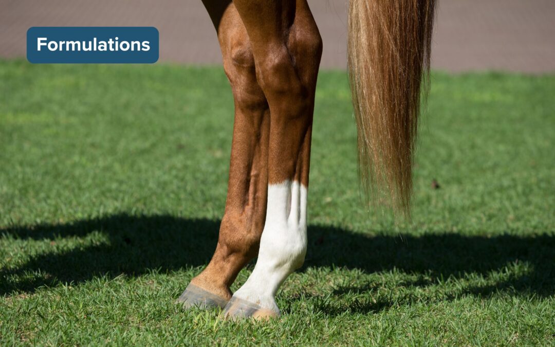 Pentosan Polysulphate – The Ultimate Sugar