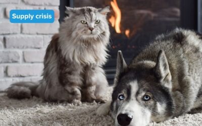 SAHPRA’s Negligence Condemns Thousands of Animals to Death