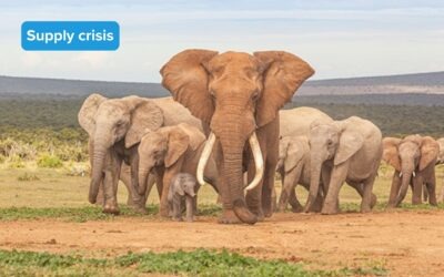 SAHPRA’s Regulatory Barriers Threaten Wildlife Safety