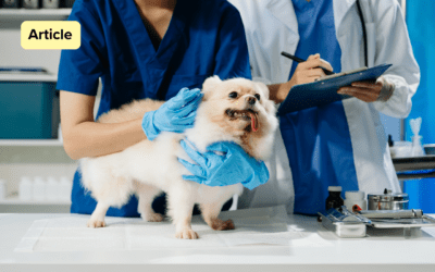 When prescriptions fail, V-Tech fills the gap &ndash; Vet&rsquo;s Hub Feature